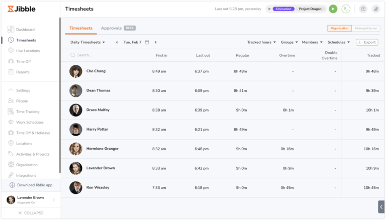 Daily team timesheets view