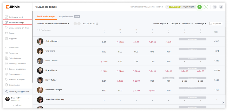 Daily timesheets view on the web app