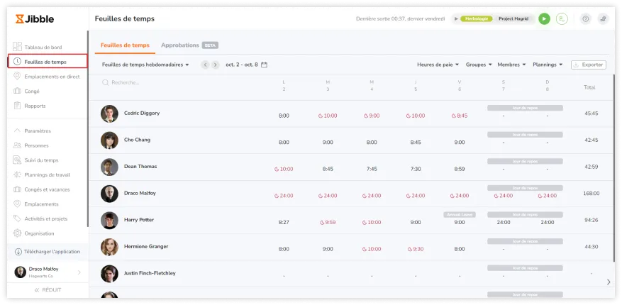 Daily timesheets view on the web app