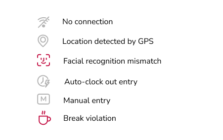 Time entry flag indicators