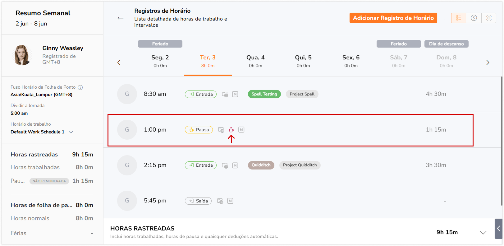 Ícone de violação de pausa exibido nas folhas de ponto no aplicativo web
