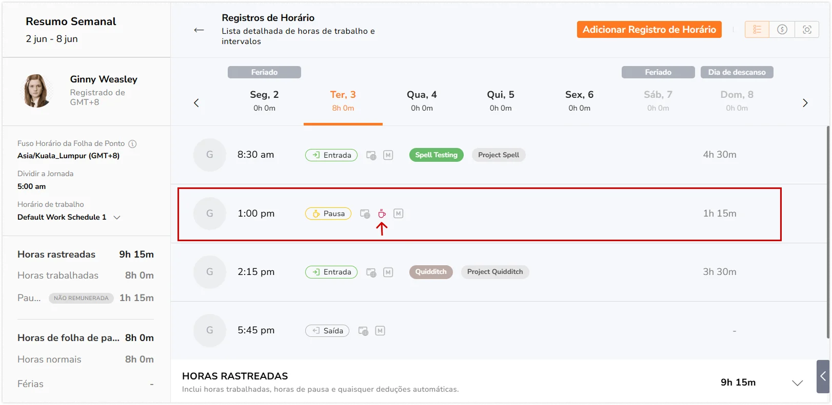Ícone de violação de pausa exibido nas folhas de ponto no aplicativo web