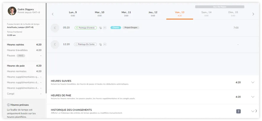 Projects in Timesheets and Reports