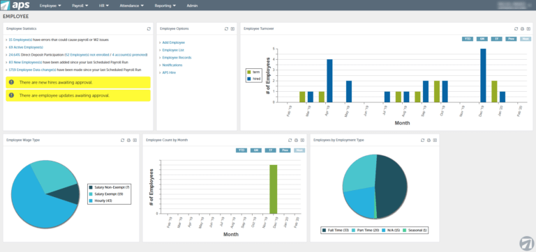 Visuallising APS Payroll screen