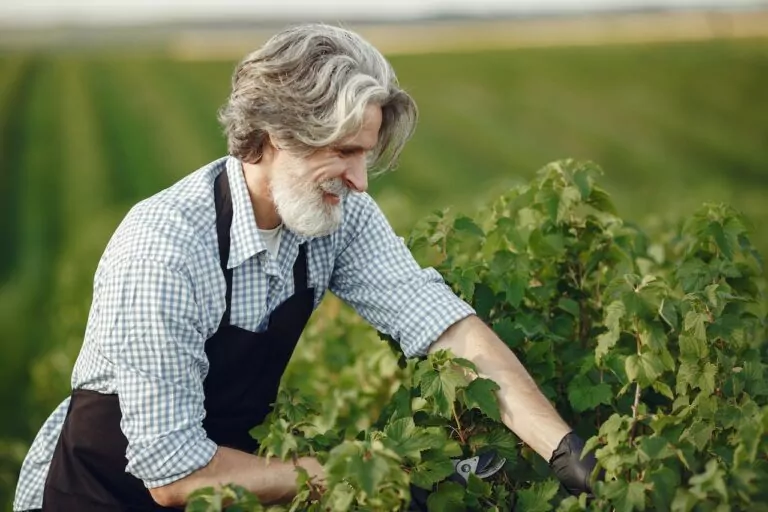 A farmer tending to his plants. Photo by Gustavo Fring