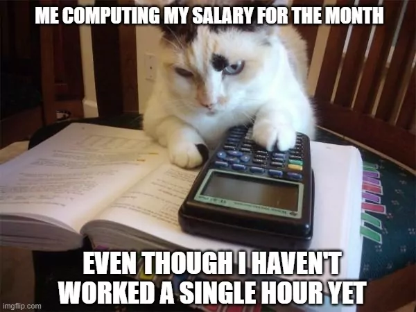 Cat using a calculator timesheet meme.