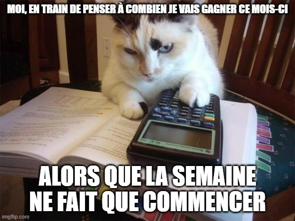 Mème du chat utilisant une calculatrice pour les feuilles de temps.