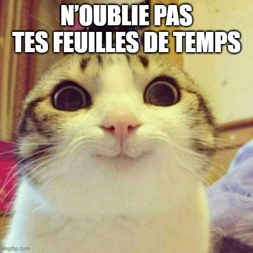 Un rappel mignon avec un chat pour soumettre les feuilles de temps.