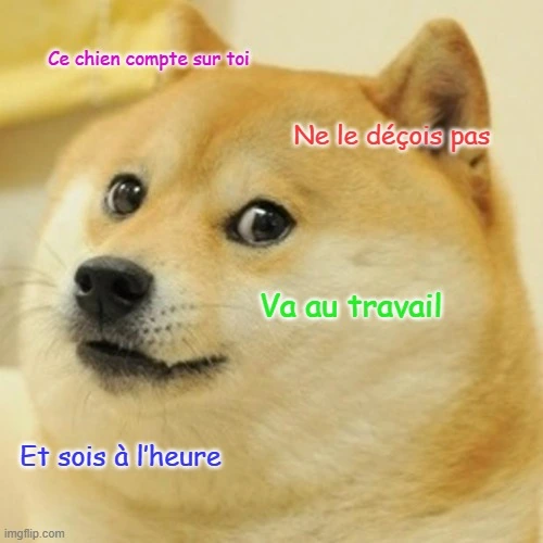 Un meme avec un chien mignon et du texte écrit partout sur l’image.