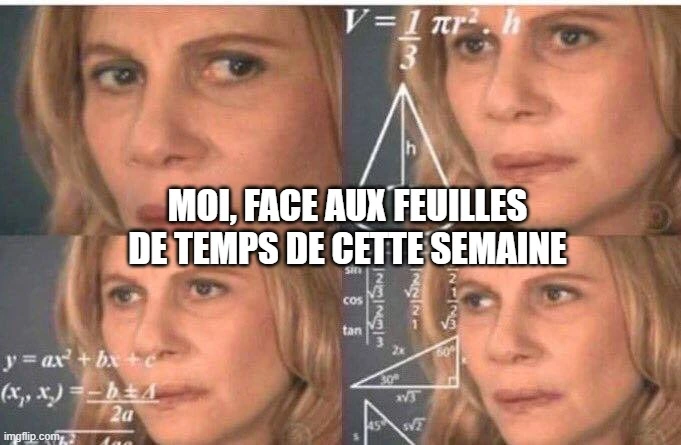 Une femme perplexe essayant de comprendre les feuilles de temps de cette semaine.