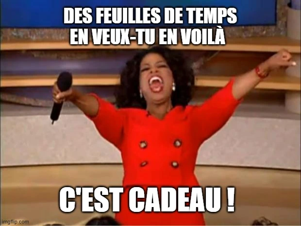 Mème avec Oprah Winfrey disant que les feuilles de temps, c'est cadeau