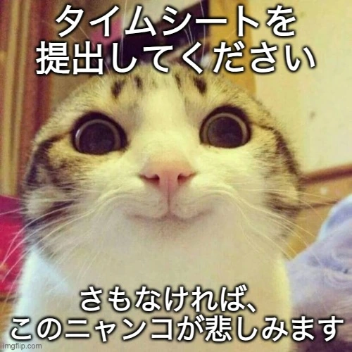 可愛い猫のミーム画像