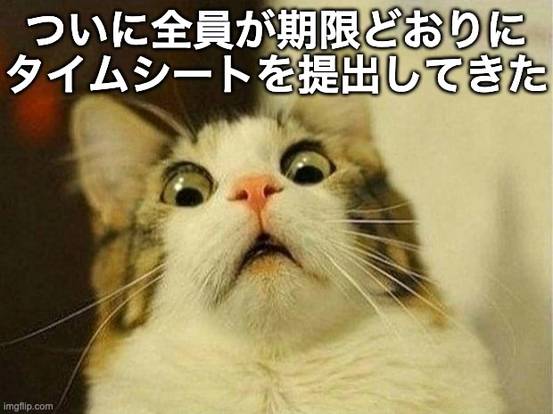 ついに全員が期限どおりにタイムシートを提出して驚く猫