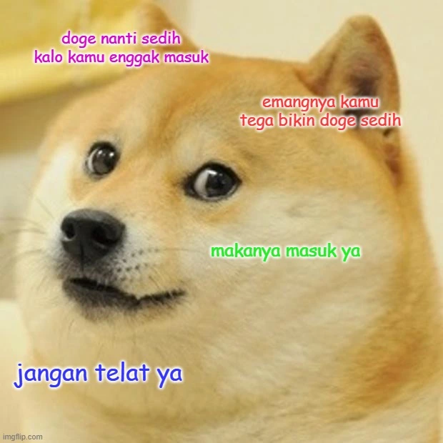 meme doge merayu kamu untuk rajin clock in
