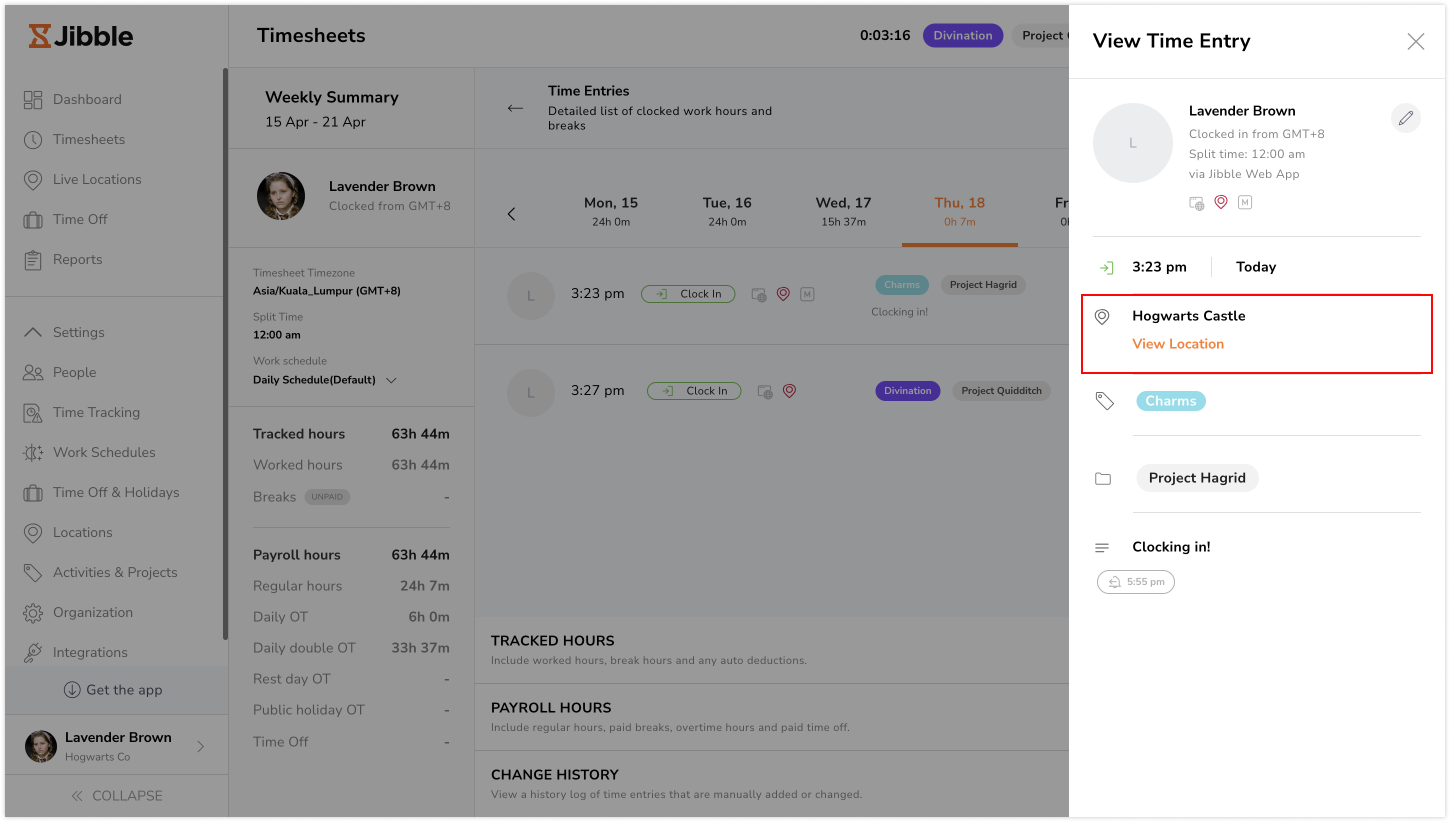 Viewing location details on time entries on web