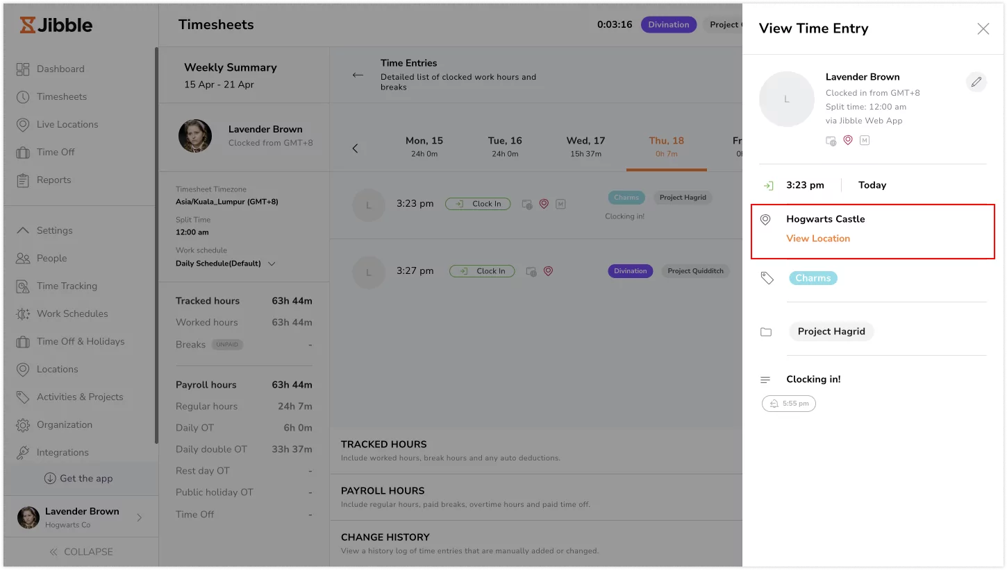 Viewing location details on time entries on web