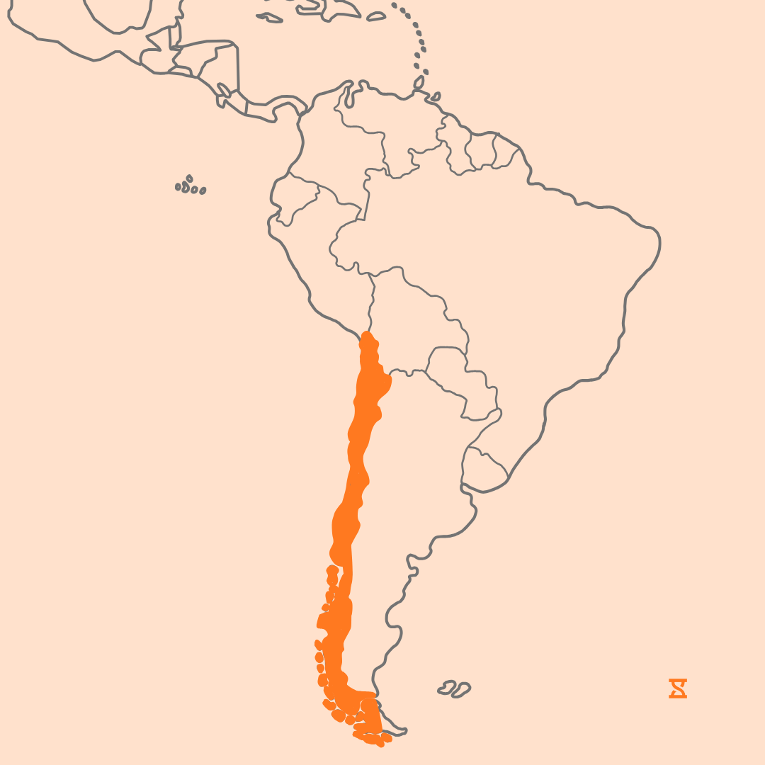 Mapa que acompaña al artículo sobre la legislación laboral en Chile