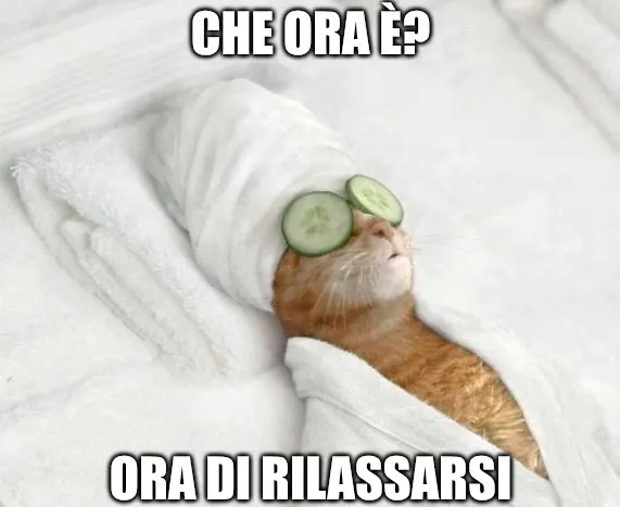 Meme di un gatto che si rilassa in una vestaglia con cetrioli sugli occhi