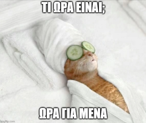 μια γάτα χαλαρώνει στο κρεβάτι