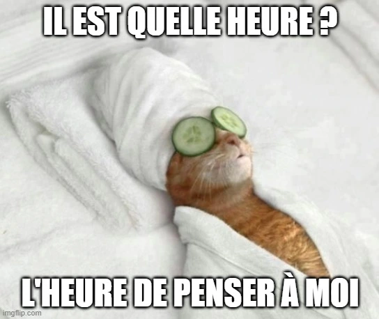 Un chat se relaxant dans un peignoir avec des concombres sur les yeux (mème)