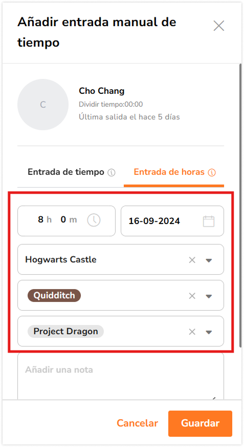 Adding hours, location, activity and project for hour entry