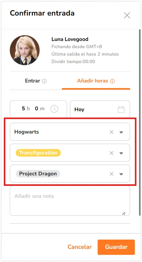 Details like location, activity and project for the hour entry