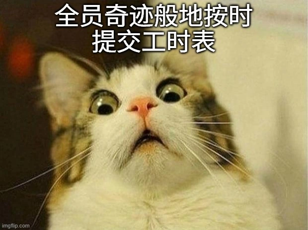猫咪震惊于每个人终于都准时提交了工时表