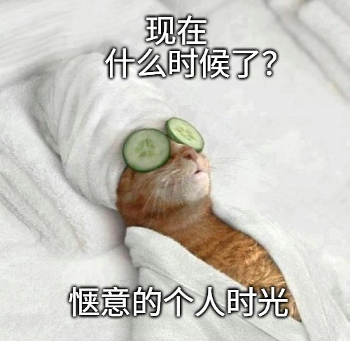 一只穿着睡袍、眼睛上贴着黄瓜放松的猫