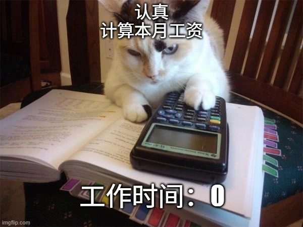 猫咪使用计算器的工时表表情包。